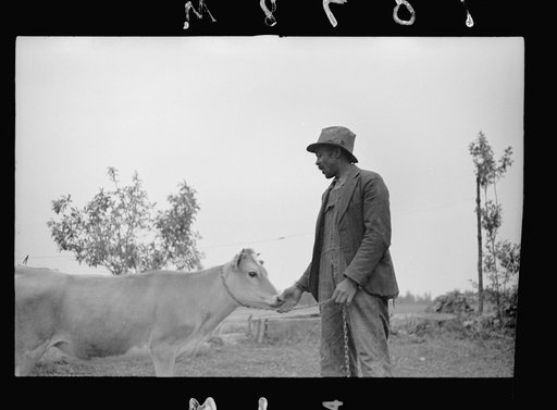 Untitled photo, possibly related to: Nat Williamson and E.H. Anderson, F.S.A. official. Williamson was the first Negro in the U.S. to receive a loan under the tenant purchase program. Guilford County, North Carolina