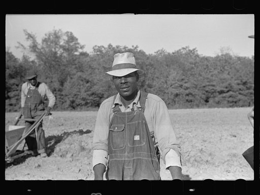 Homesteader at Roanoke Farms, North Carolina