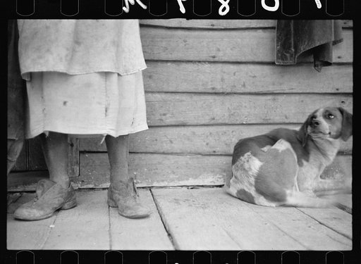Untitled photo, possibly related to: Sharecropper and sharecropper's dog. North Carolina