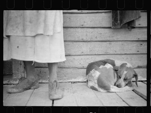 Sharecropper and sharecropper's dog. North Carolina