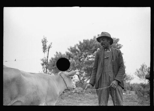Untitled photo, possibly related to: Nat Williamson, first negro  farmer in U.S. to receive  loan under Tenant  Purchase Program. North  Carolina
