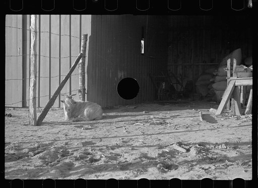 Untitled photo, possibly related to: Barn on Roanoke Farms, North Carolina