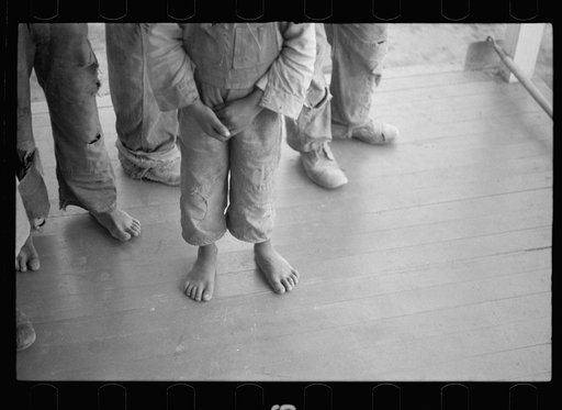 Untitled photo, possibly related to Roanoke farms, Enfield, North Carolina