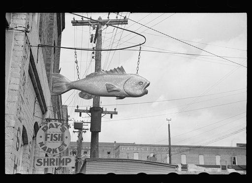 Fish sign, Washington, North Carolina