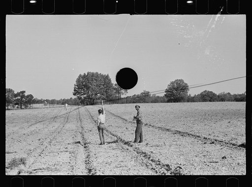 Untitled photo, possibly related to Roanoke farms, Enfield, North Carolina