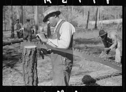 Filing a saw, Roanoke Farms Project, North Carolina