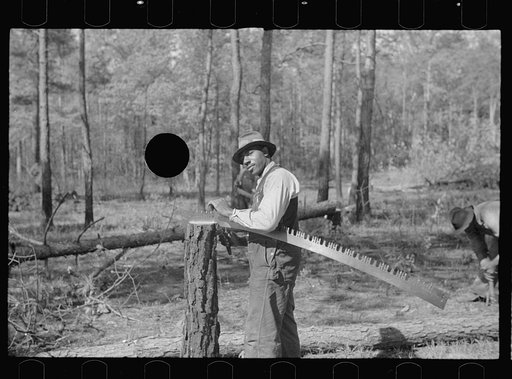 Untitled photo, possibly related to: Filing a saw, Roanoke Farms Project, North Carolina