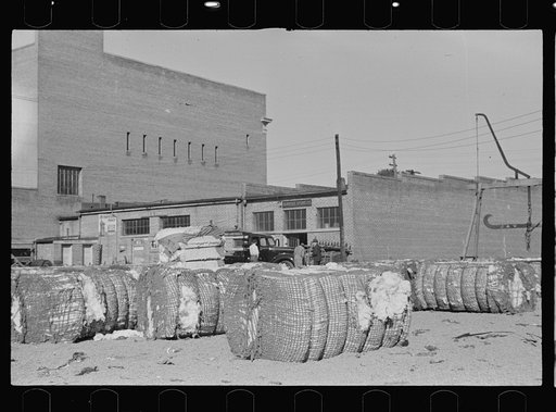 Cotton storeyard, Enfield, North Carolina
