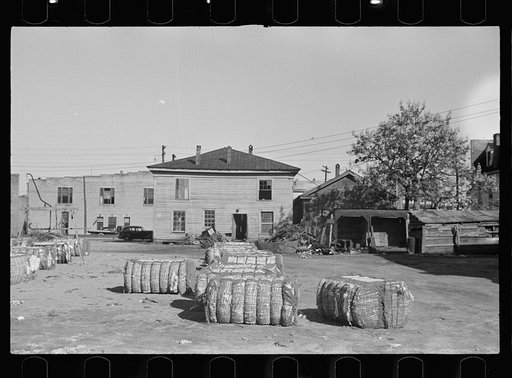 Cotton storeyard, Enfield, North Carolina