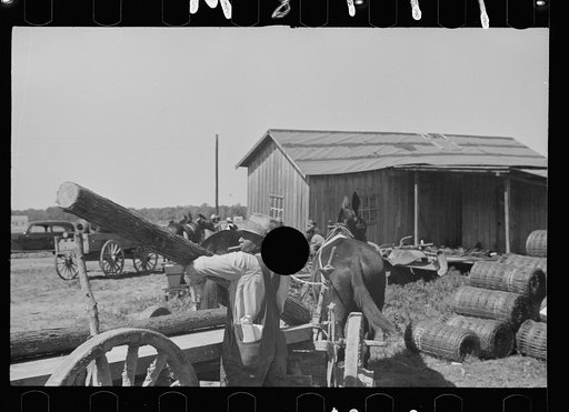 Untitled photo, possibly related to: Foreman checking out supplies as they are received by Negroes of the Roanoke Farms Project, North Carolina