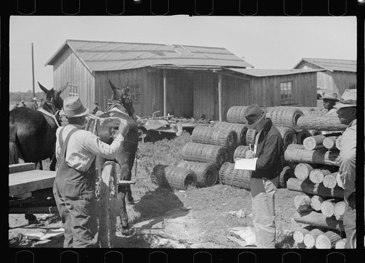 Foreman checking out supplies as they are received by Negroes of the Roanoke Farms Project, North Carolina