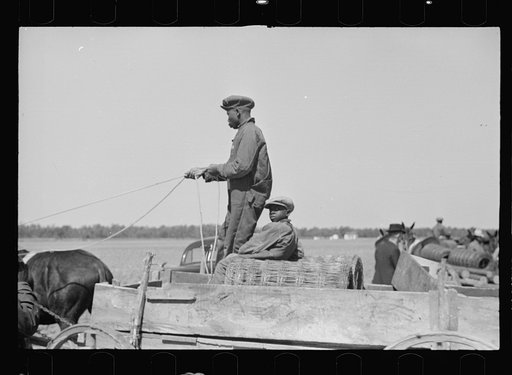 Untitled photo, possibly related to: Foreman checking out supplies as they are received by Negroes of the Roanoke Farms Project, North Carolina