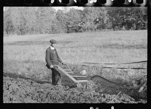 Untitled photo, possibly related to Roanoke farms, Enfield, North Carolina