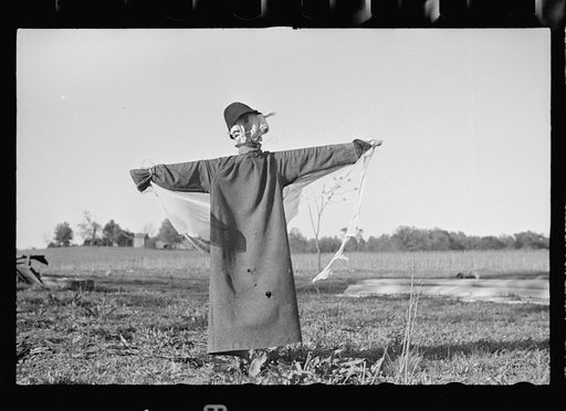 Scarecrow, North Carolina