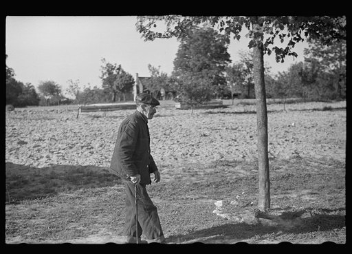 Untitled photo, possibly related to: Grandfather of tenant farmer family, North Carolina