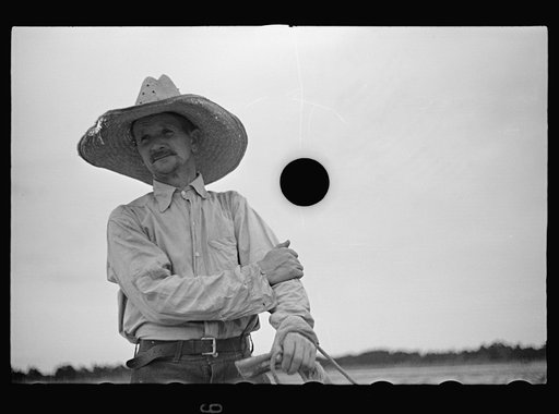 Untitled photo, possibly related to: Farmer, Irwinville Farms, Georgia