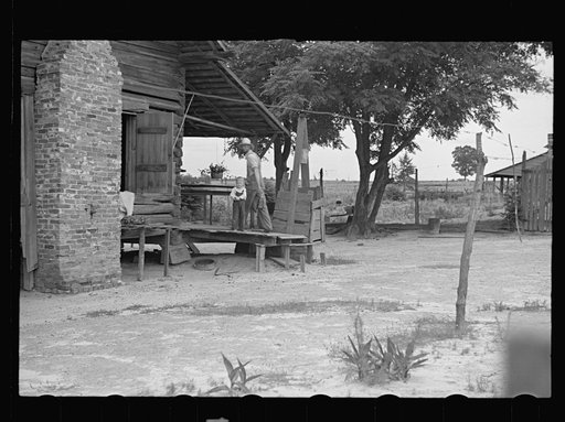 Untitled photo, possibly related to: Farmer, Irwinville Farms, Georgia