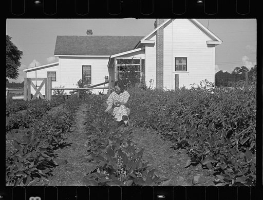 Mrs. Cole in her garden, Irwinville Farms, Georgia