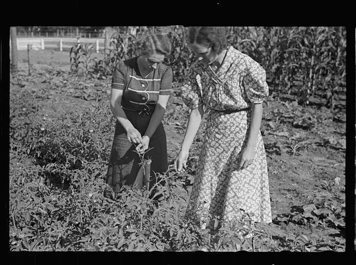 Untitled photo, possibly related to: Mrs. Cole in her garden, Irwinville Farms, Georgia