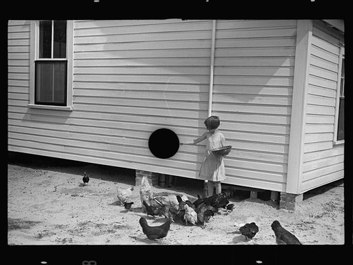 Untitled photo, possibly related to: Mrs. Cole in her garden, Irwinville Farms, Georgia