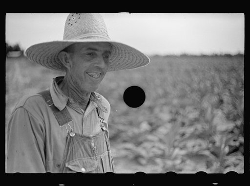 Untitled photo, possibly related to: Plowing, Irwin County, Georgia