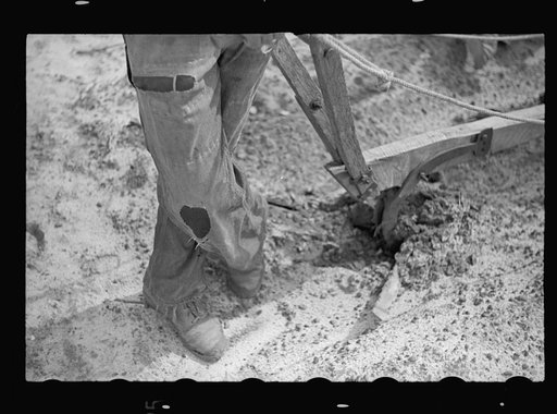 Plowing, Irwin County, Georgia