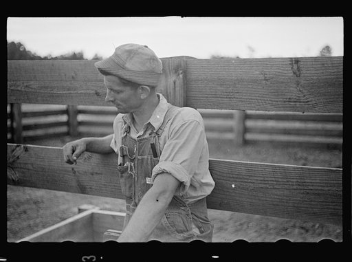 Untitled photo, possibly related to: Instruments used in innoculating hogs for cholera. Irwinville Farms, Georgia
