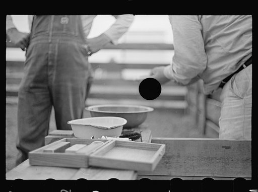 Untitled photo, possibly related to: Instruments used in innoculating hogs for cholera. Irwinville Farms, Georgia