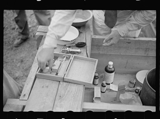 Instruments used in innoculating hogs for cholera. Irwinville Farms, Georgia