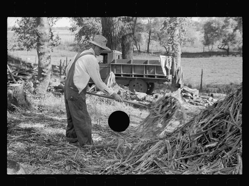 Untitled photo, possibly related to: Farmer at sorghum mill, Lancaster County, Nebraska