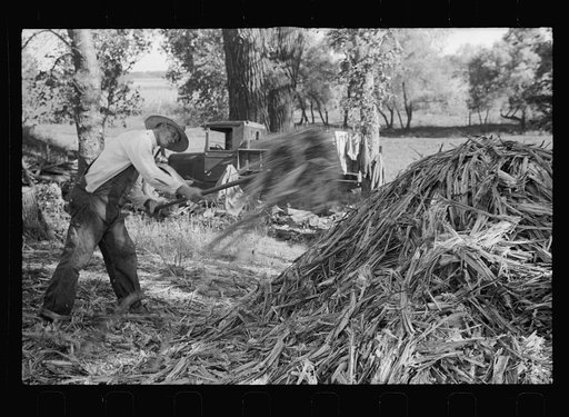 Untitled photo, possibly related to: Farmer at sorghum mill, Lancaster County, Nebraska