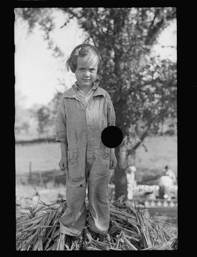 Untitled photo, possibly related to: Farmer at sorghum mill, Lancaster County, Nebraska