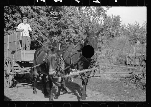 Untitled photo, possibly related to: County supervisor talking with FSA (Farm Security Administration) client. Coffey County, Kansas