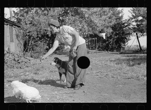 Untitled photo, possibly related to: County supervisor talking with FSA (Farm Security Administration) client. Coffey County, Kansas
