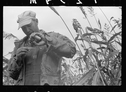Making cigarette, Coffey County, Kansas