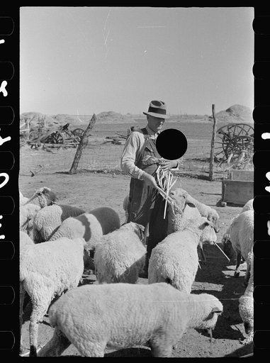 Untitled photo, possibly related to: Rehabilitation client feeding chickens. Ottawa County, Kansas