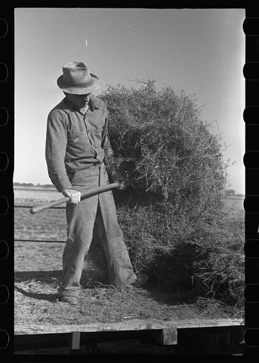 Jack Gardinier who has bought a farm under the tenant purchase program.  Ottawa County, Kansas