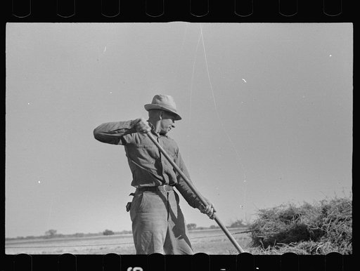 Untitled photo, possibly related to: Jack Gardinier who has bought a farm under the tenant purchase program.  Ottawa County, Kansas