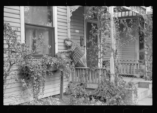 Lady tending her flower box, Omaha, Nebraska
