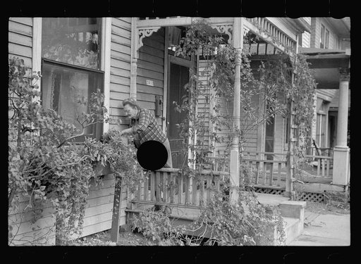 Untitled photo, possibly related to: Lady tending her flower box, Omaha, Nebraska