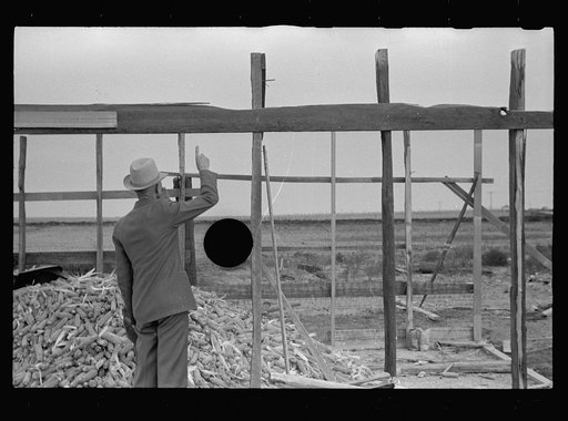 Untitled photo, possibly related to: Corn, Kansas