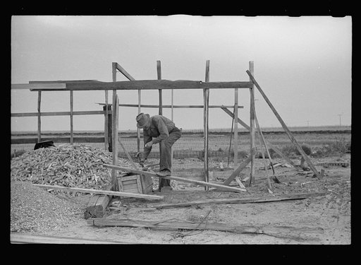 Untitled photo, possibly related to: Corn, Kansas