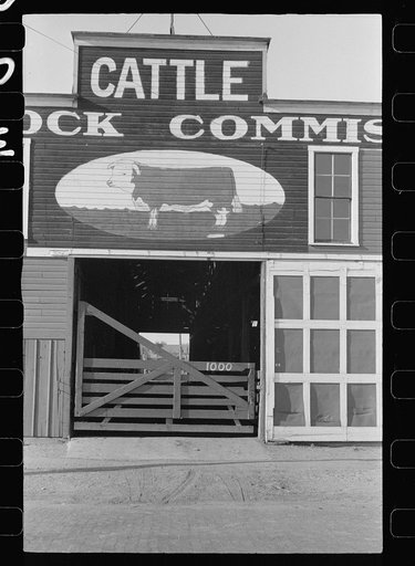 Livestock commisary, Grand Island, Nebraska