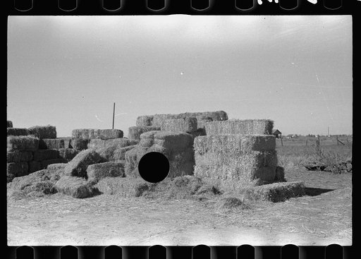 Untitled photo, possibly related to: Privy, Lexington, Nebraska
