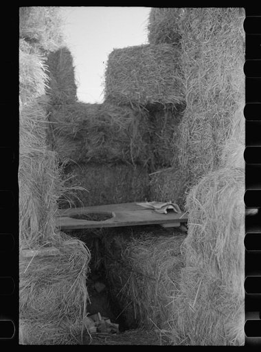 Untitled photo, possibly related to: Privy, Lexington, Nebraska