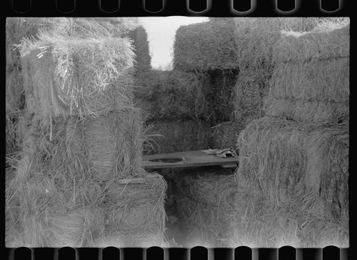 Privy, Lexington, Nebraska