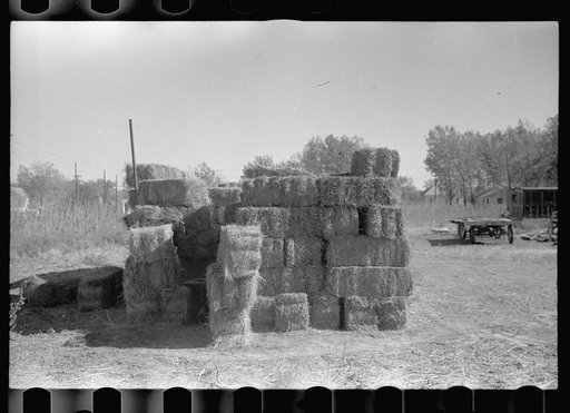 Untitled photo, possibly related to: Privy, Lexington, Nebraska