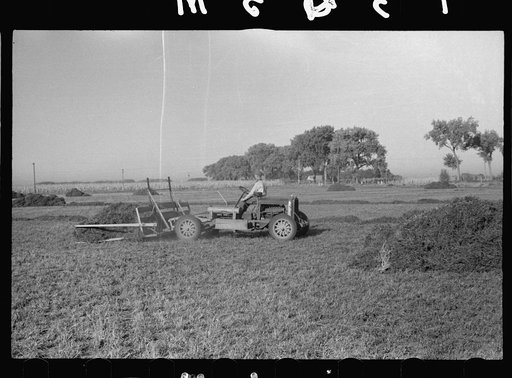 Untitled photo, possibly related to: Using a power rake on the alfalfa fields of Dawson County, Nebraska. Dawson County is the greatest alfalfa producing center in the world