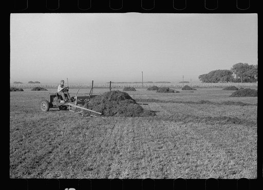 Using a power rake on the alfalfa fields of Dawson County, Nebraska. Dawson County is the greatest alfalfa producing center in the world