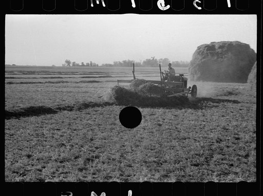 Untitled photo, possibly related to: Using a power rake on the alfalfa fields of Dawson County, Nebraska. Dawson County is the greatest alfalfa producing center in the world